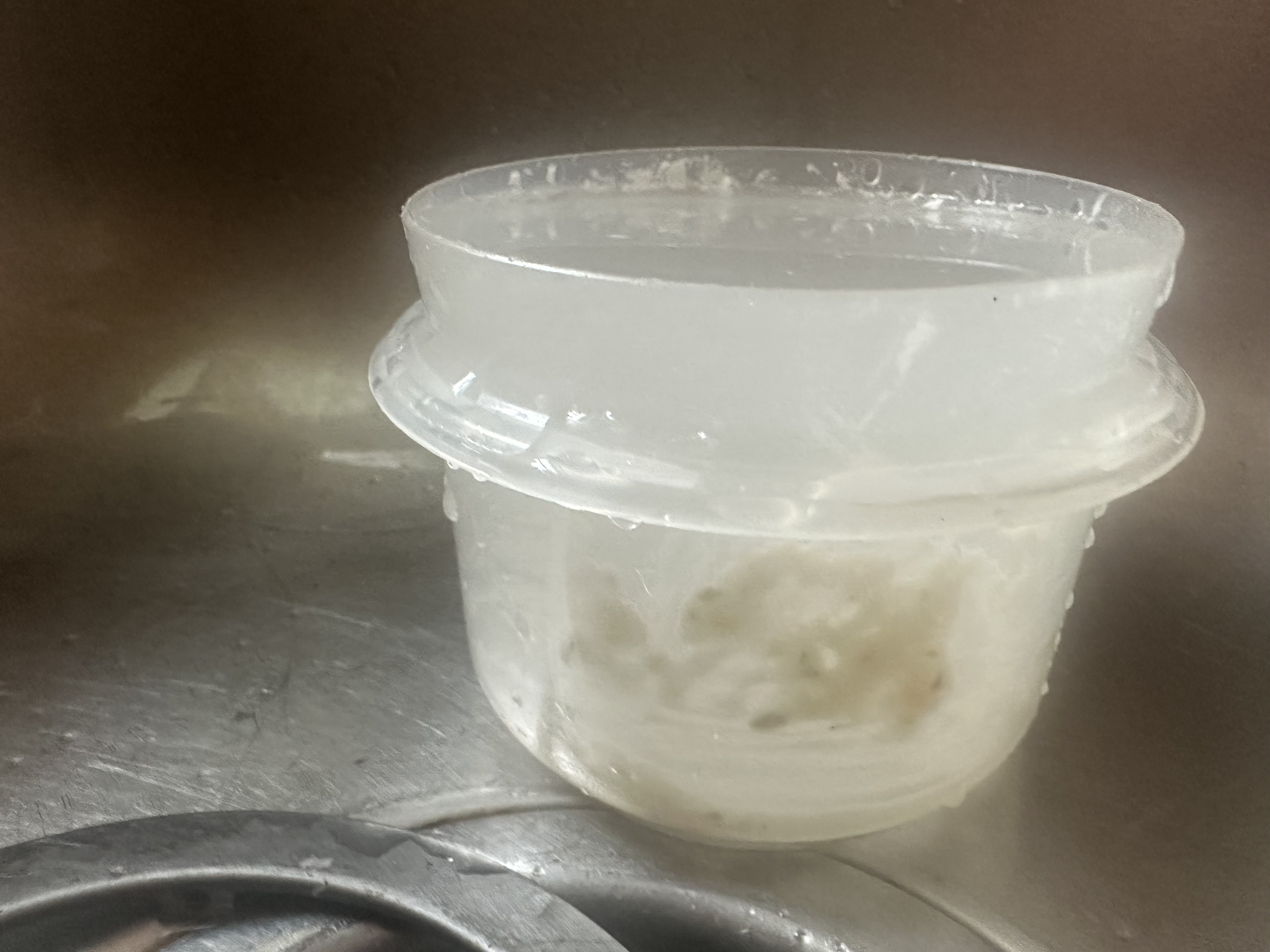 Cottage cheese container with residue in sink